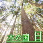 木の国 日本