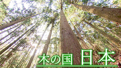 『木の国 日本』箱屋常吉プロモーション映像